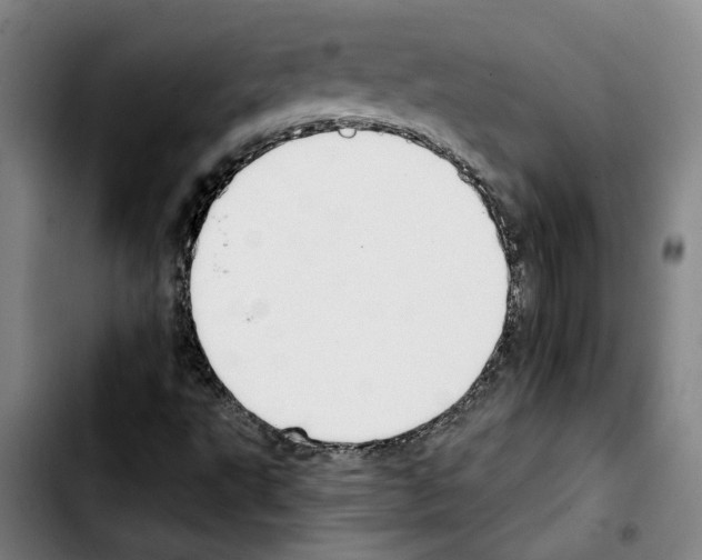 X0000103441495200810241109