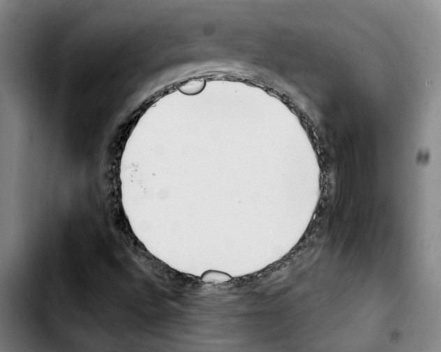 X0000103441496200810241109
