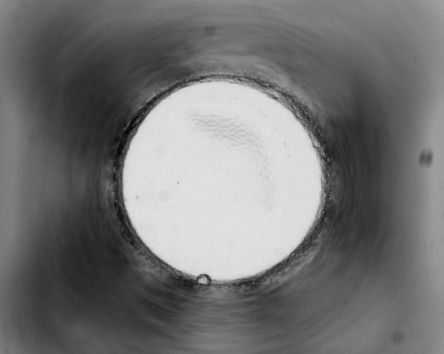 X0000103441497200810241109