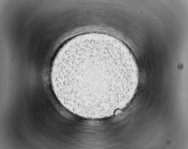 X0000103441499200810241109