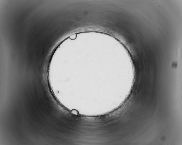 X0000103441500200810241109