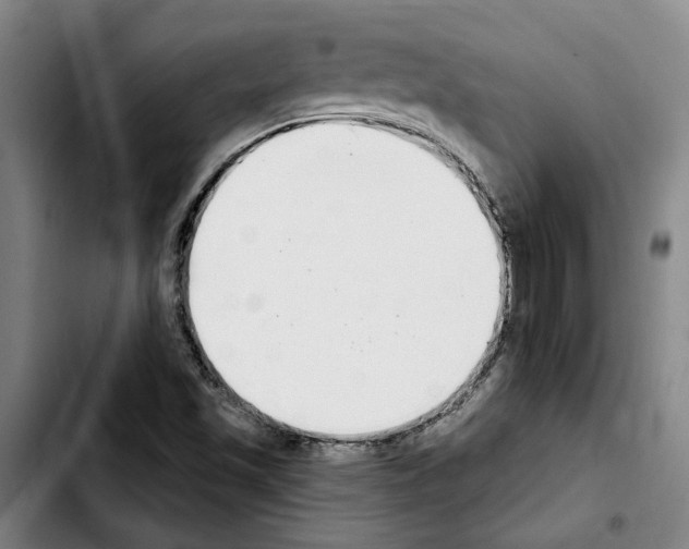 X0000103441501200810241109