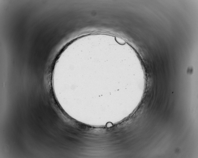 X0000103441503200810241109