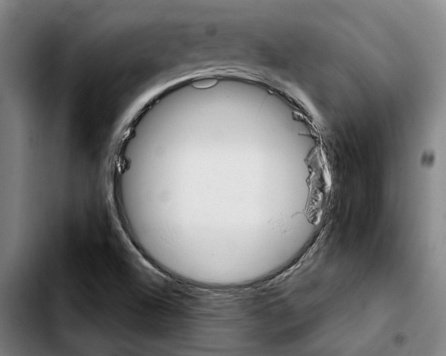 X0000103441504200810241109