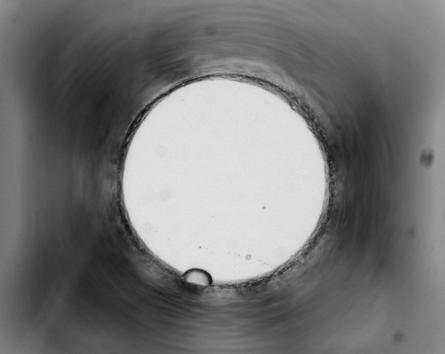 X0000103441505200810241109