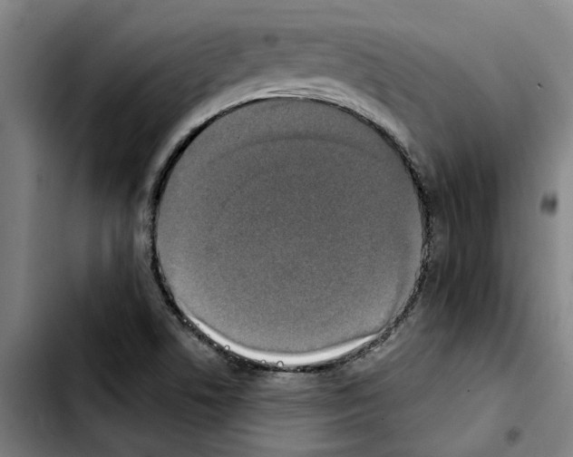 X0000103441506200810241109