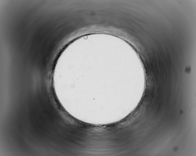 X0000103441507200810241109