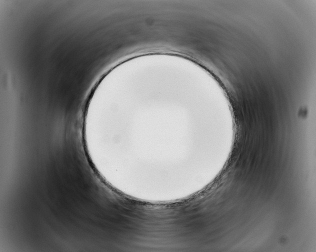 X0000103441508200810241109