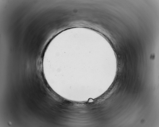 X0000103441509200810241109