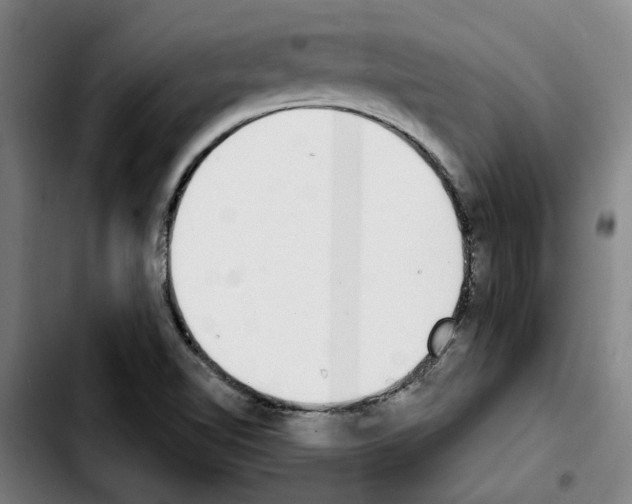 X0000103441510200810241110