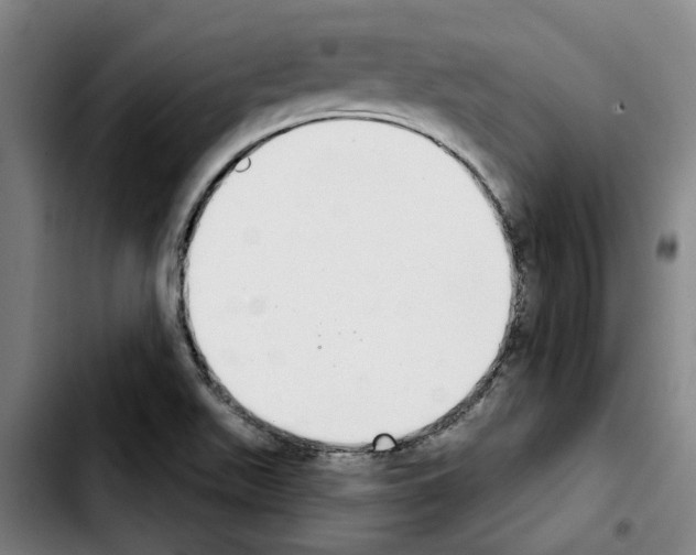 X0000103441511200810241110