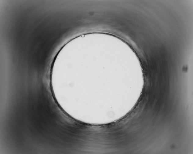 X0000103441512200810241110
