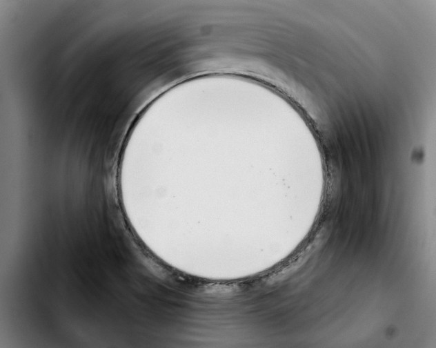 X0000103441513200810241110