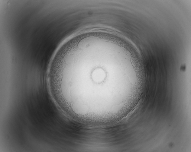 X0000103441514200810241110