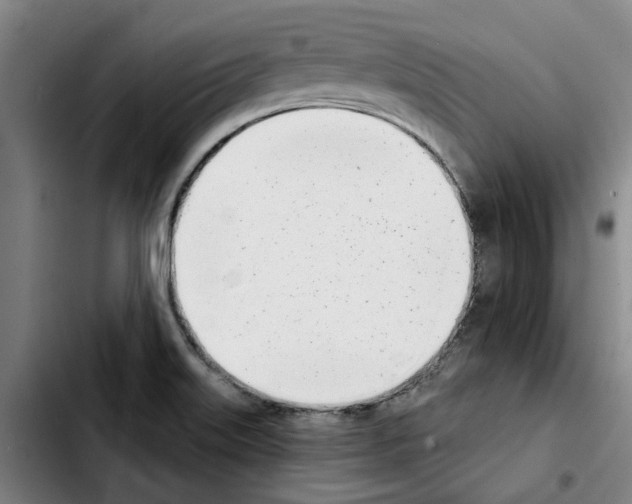 X0000103441515200810241110