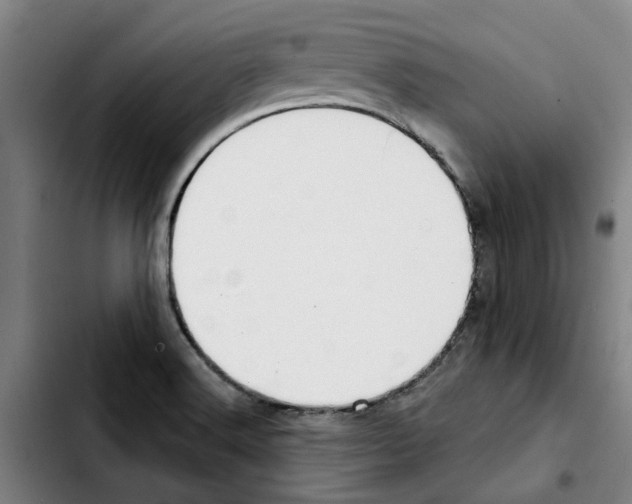 X0000103441516200810241110