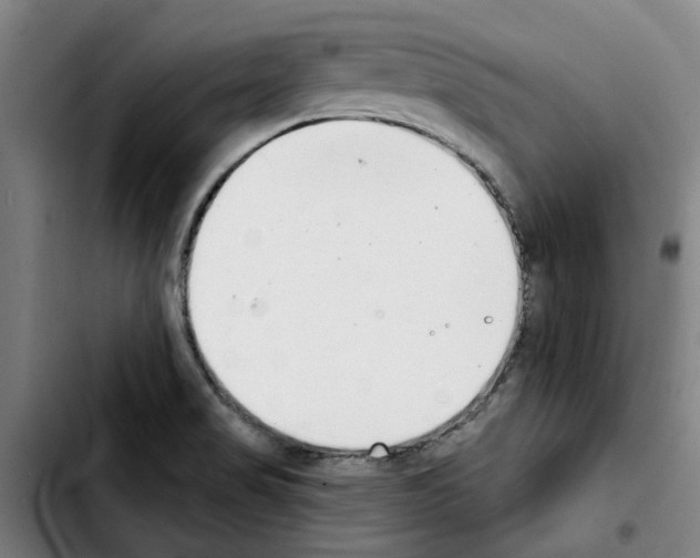 X0000103441517200810241110