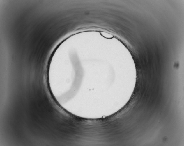 X0000103441518200810241110