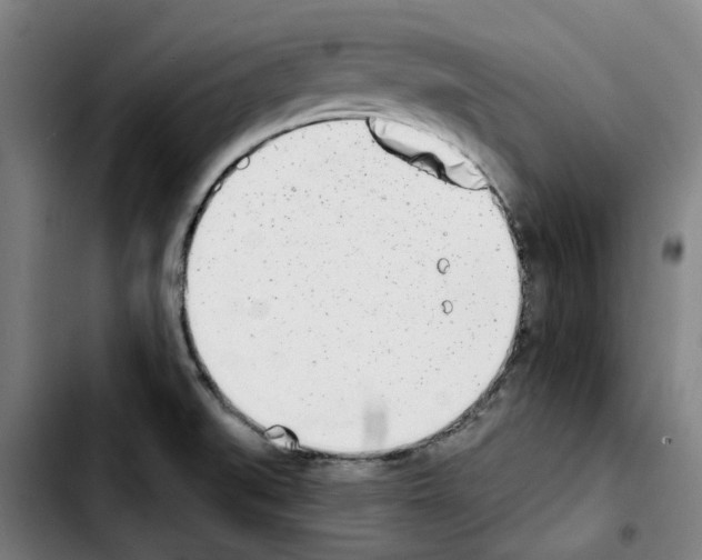 X0000103441519200810241110