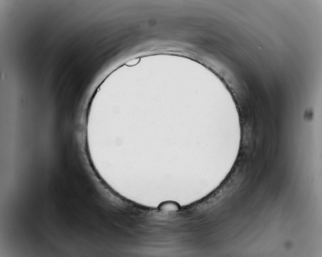 X0000103441520200810241110