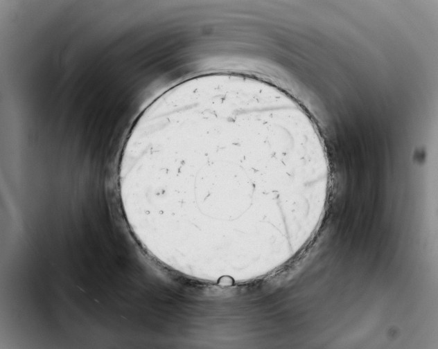 X0000103441521200810241110