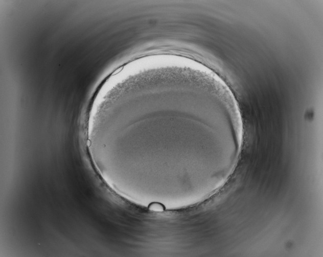 X0000103441522200810241110