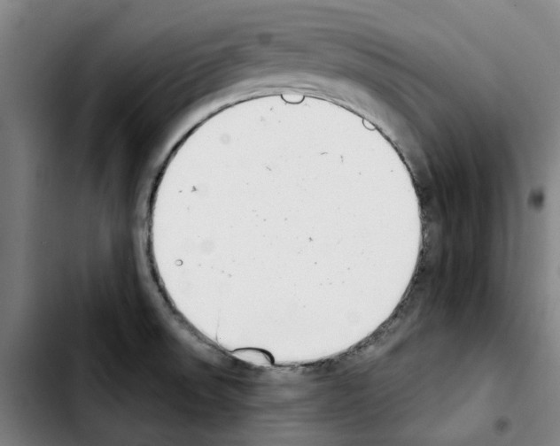 X0000103441523200810241110
