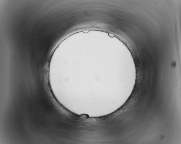 X0000103441524200810241110