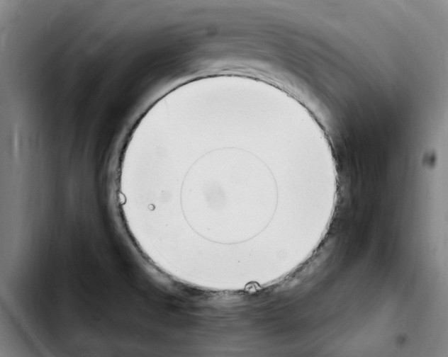X0000103441525200810241110