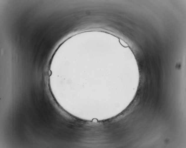 X0000103441526200810241110
