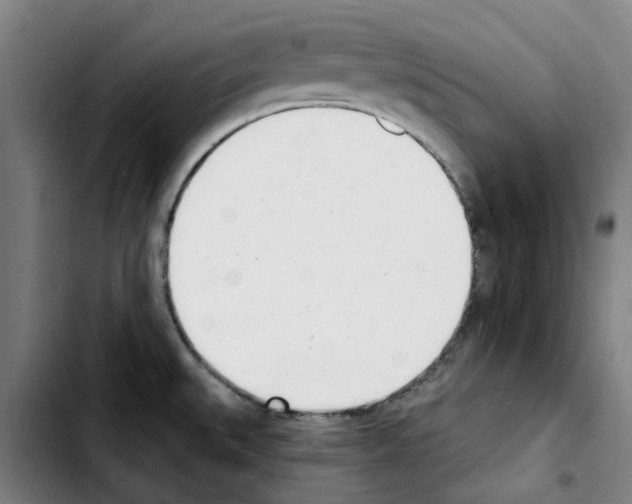 X0000103441527200810241110