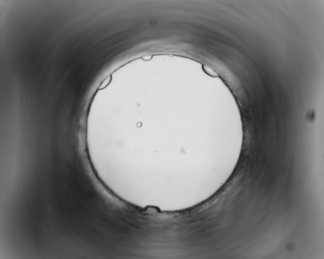 X0000103441528200810241110