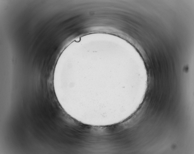 X0000103441529200810241110