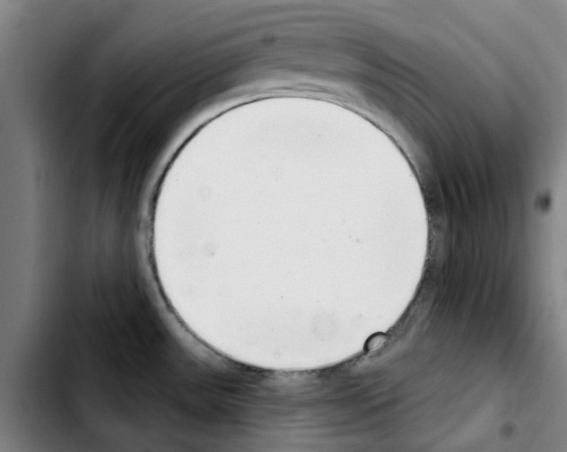 X0000103441531200810241110