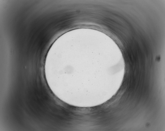 X0000103441533200810241110
