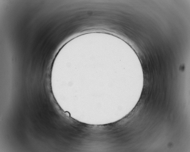 X0000103441534200810241110