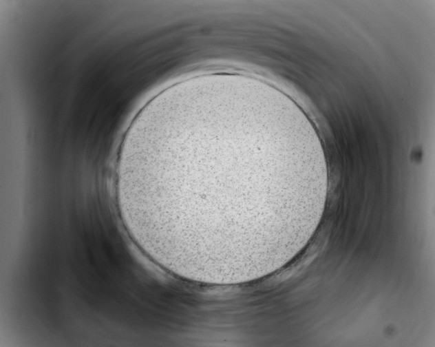 X0000103441535200810241110
