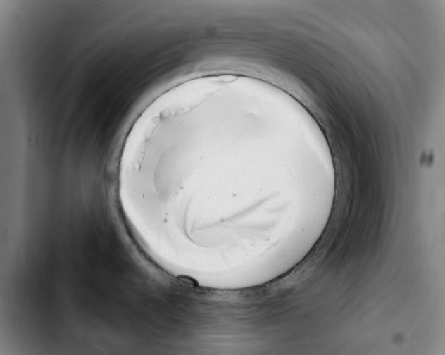 X0000103441536200810241110