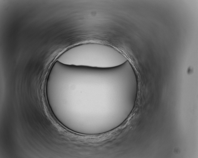 X0000103450001200809121136