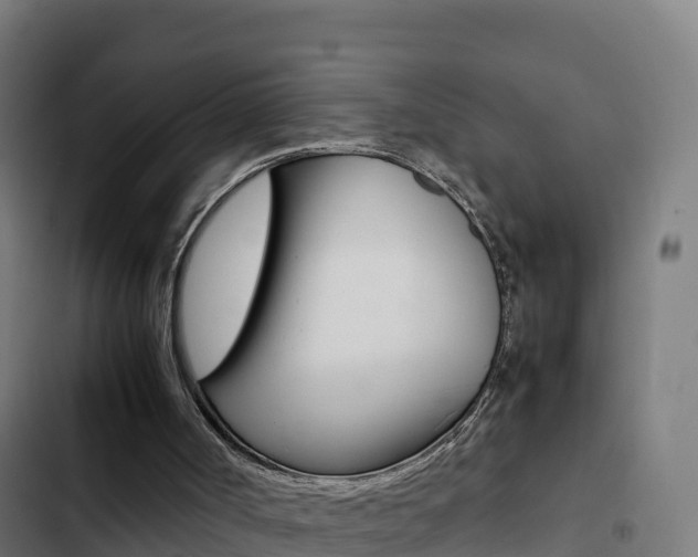 X0000103450002200809121136