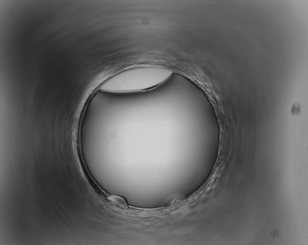 X0000103450003200809121136