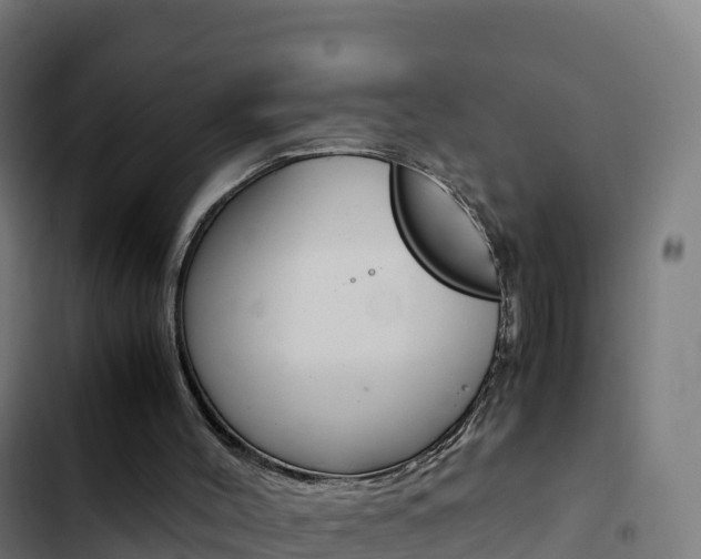 X0000103450004200809121136
