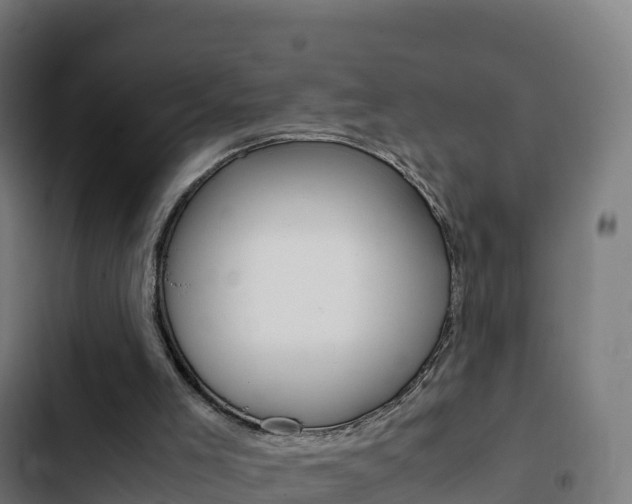 X0000103450005200809121136