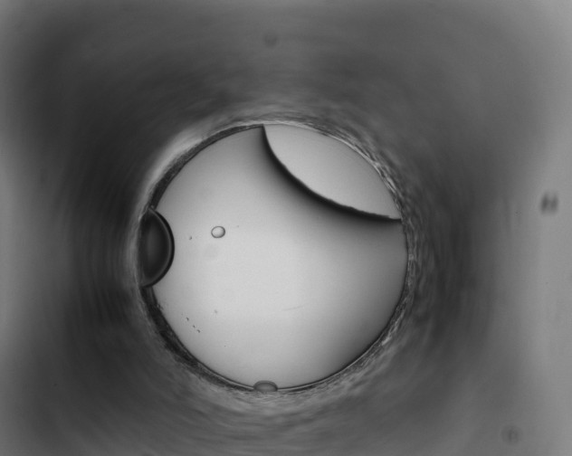 X0000103450006200809121136