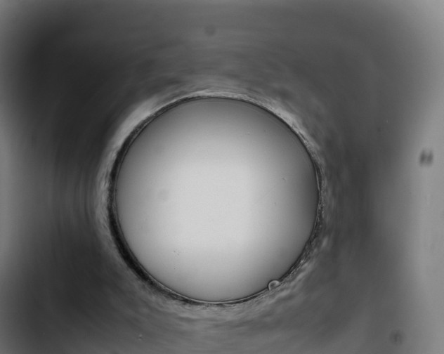 X0000103450007200809121136