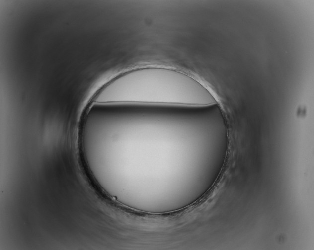 X0000103450008200809121136
