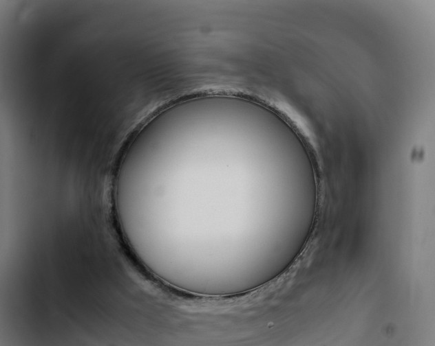X0000103450009200809121136