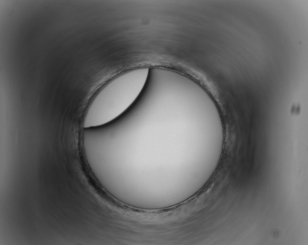 X0000103450010200809121136