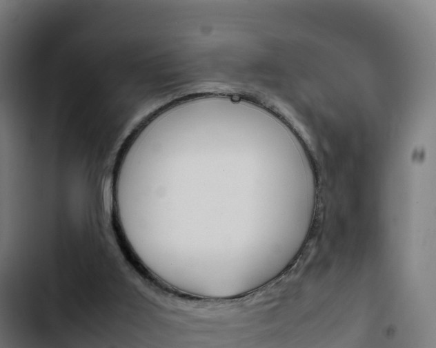 X0000103450011200809121136