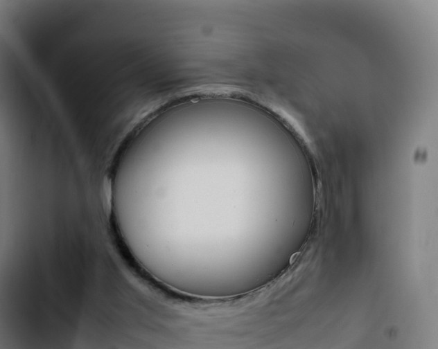 X0000103450013200809121136